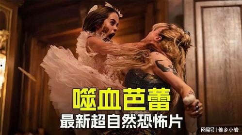 噬血芭蕾,探寻黑暗中的舞者之谜  第3张