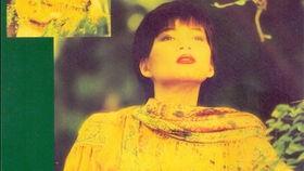 我的八零恋歌,回忆里的青春旋律  第3张