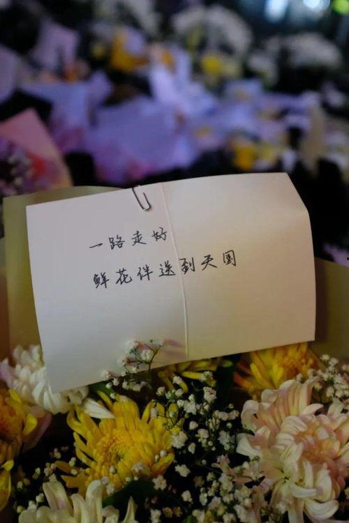 愿天堂没有眼泪,缅怀逝者,珍惜当下 第3张 愿天堂没有眼泪,缅怀逝者,珍惜当下 第3张