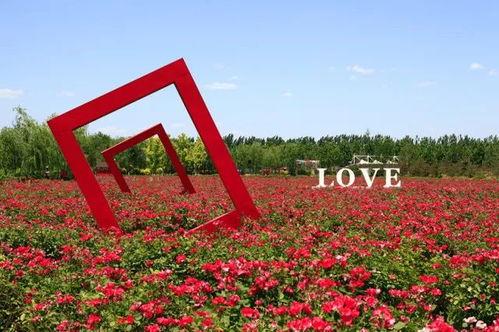 掌中物之玫瑰的预谋-欢迎来到玫瑰庄园  第2张