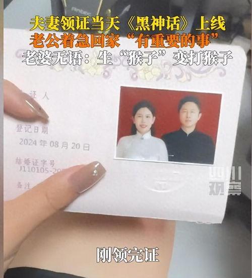 领证当天捡了个老公回家,捡回一枚神秘老公  第3张