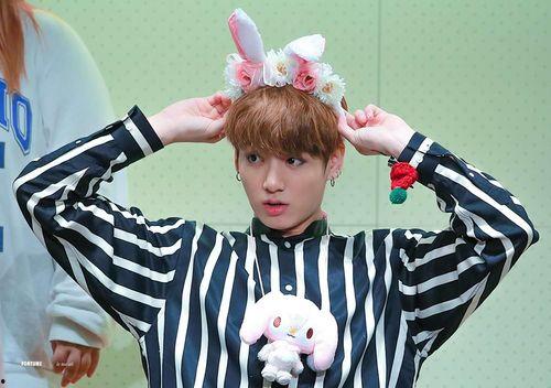 发光吧乔小姐,乔小姐的璀璨人生  第2张