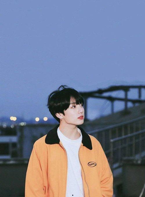 发光吧乔小姐,乔小姐的璀璨人生  第3张