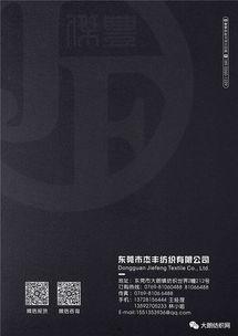 卡米尔 2019,回顾与展望  第3张