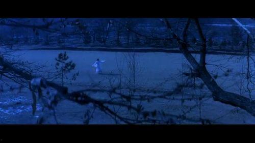 剑花烟雨江南  第2张