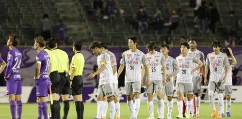 再次取胜,战队再次取胜，荣耀之路再续篇章  第2张